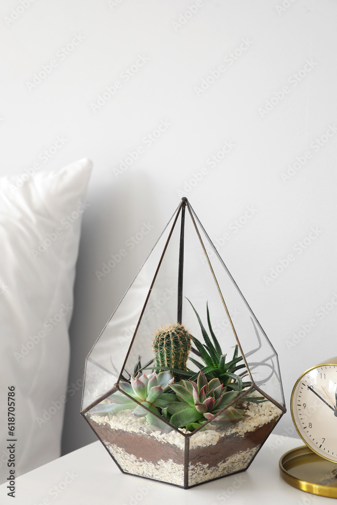 Florarium with alarm clock on table in light bedroom, closeup