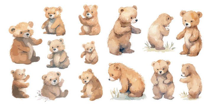 用于图形资源的水彩小熊剪贴画