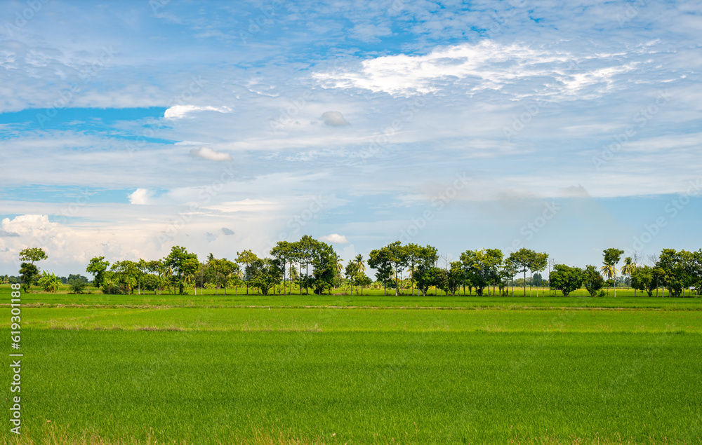 Beautiful landscape in the countryside of Thailand. Agriculture is one of the most important economi