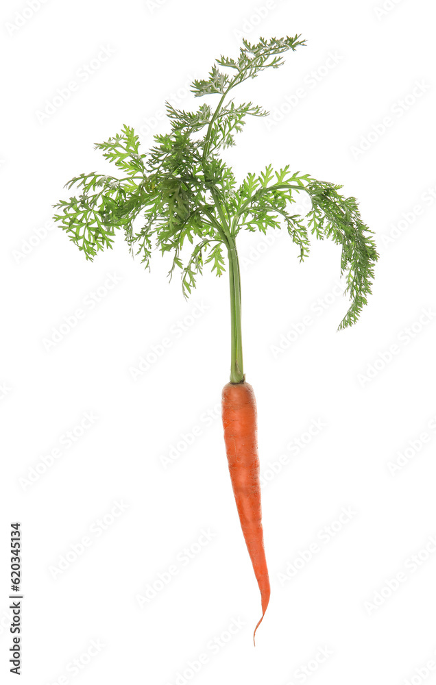Fresh carrot with leaves isolated on white background