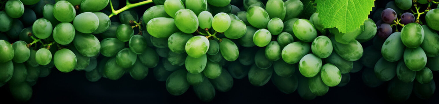 Ripe Grape Scenery