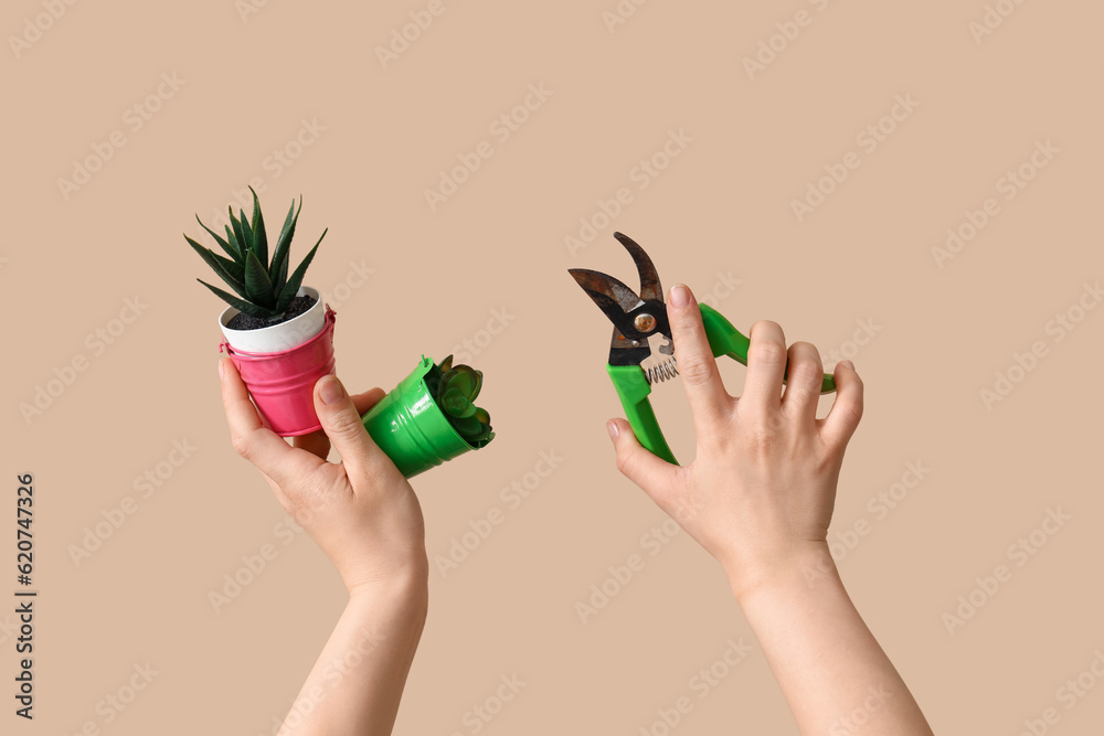 Gardener with succulents and secateurs on beige background
