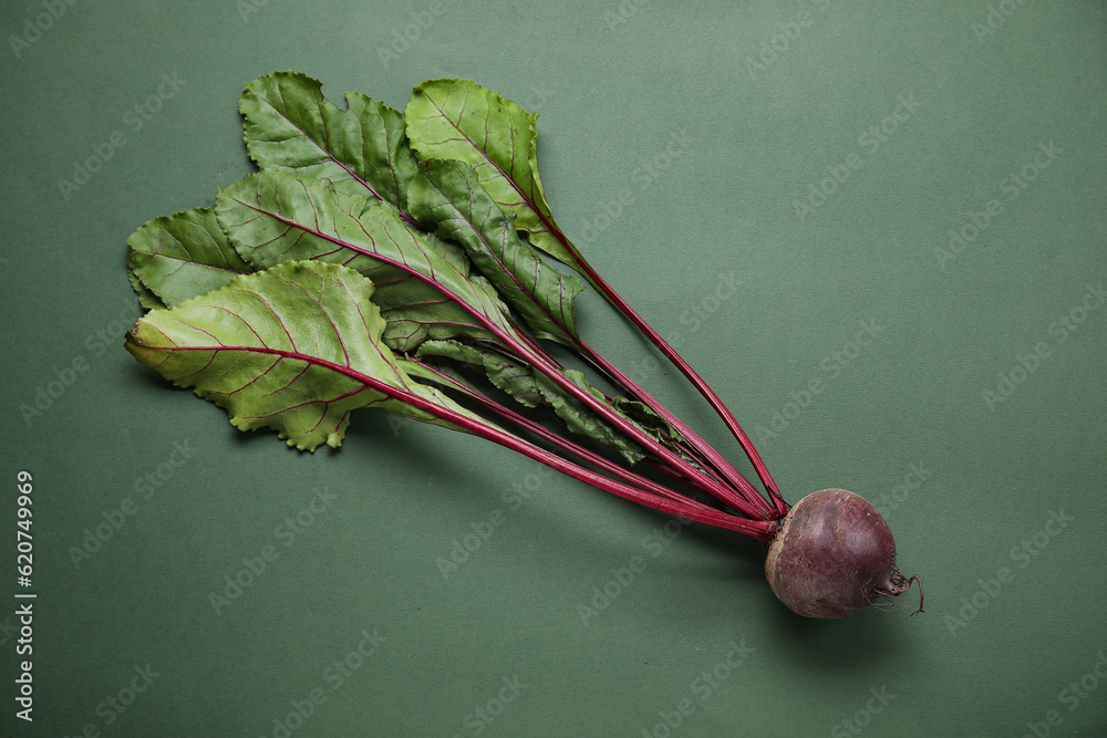 Fresh beetroot with leaves on green background