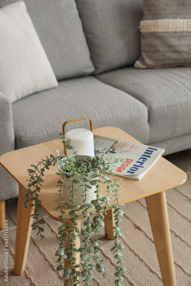 Wooden coffee table with houseplant and magazine in living room, closeup