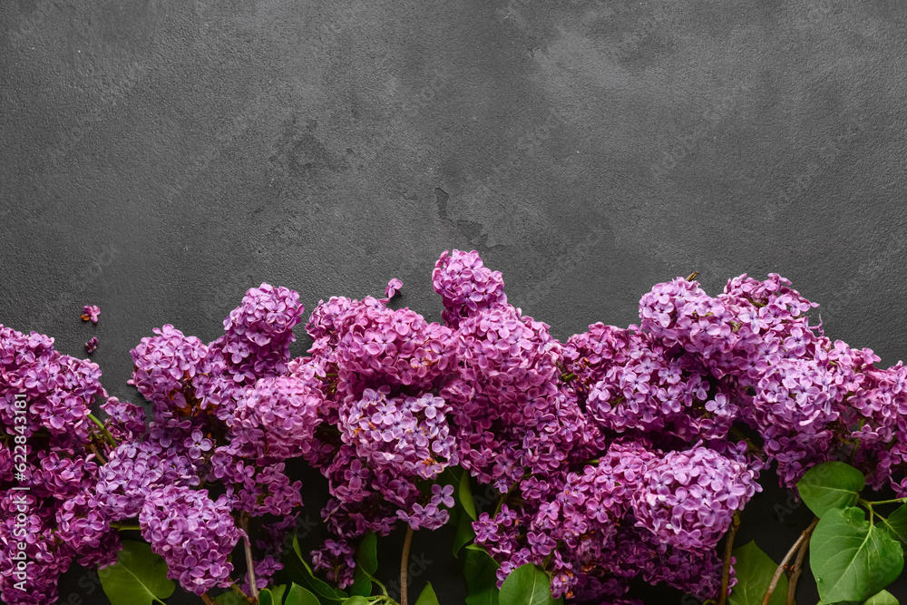 Beautiful bright lilac flowers on dark background