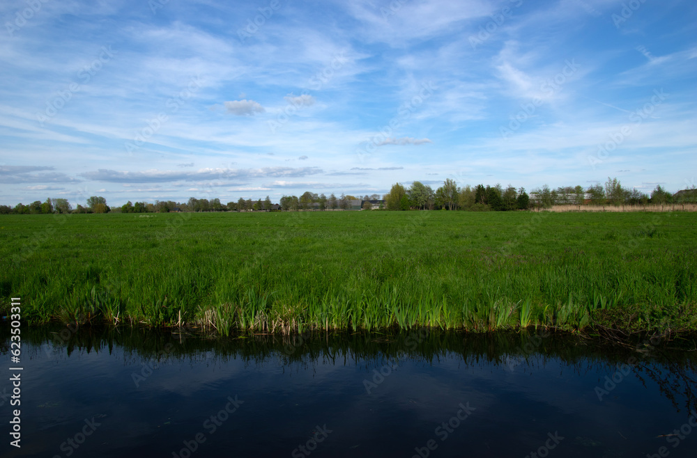 Landscape green meadow and canal with clear water