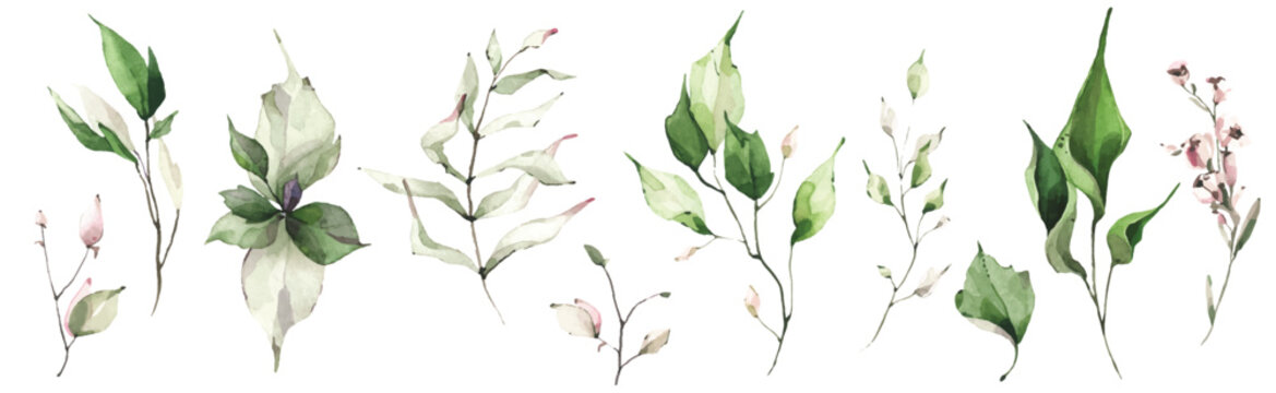 绿色和粉色叶子、绿植、树枝、嫩枝等的水彩花卉套装。矢量水彩剪贴画绘图