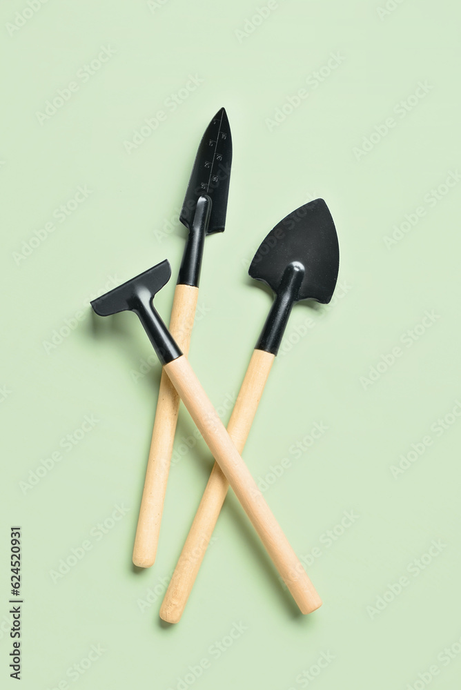 Gardening rake and shovels on green background