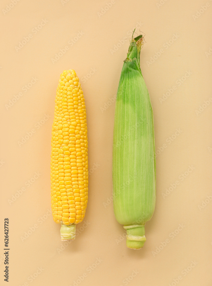 Fresh corn cobs on beige background