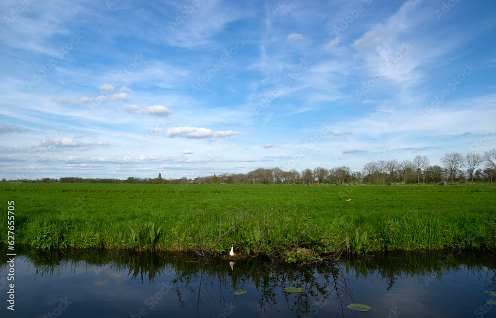 Landscape green meadow and canal with clear water