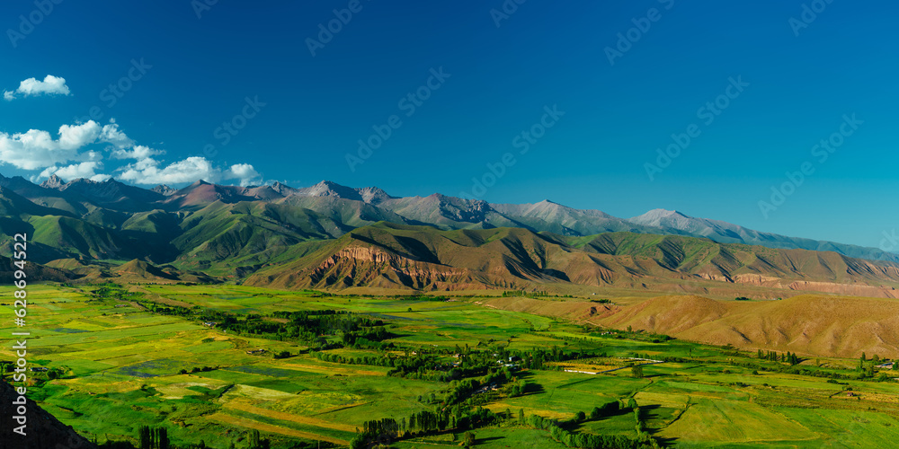 Picturesque panoramic view of mountain valley in summer