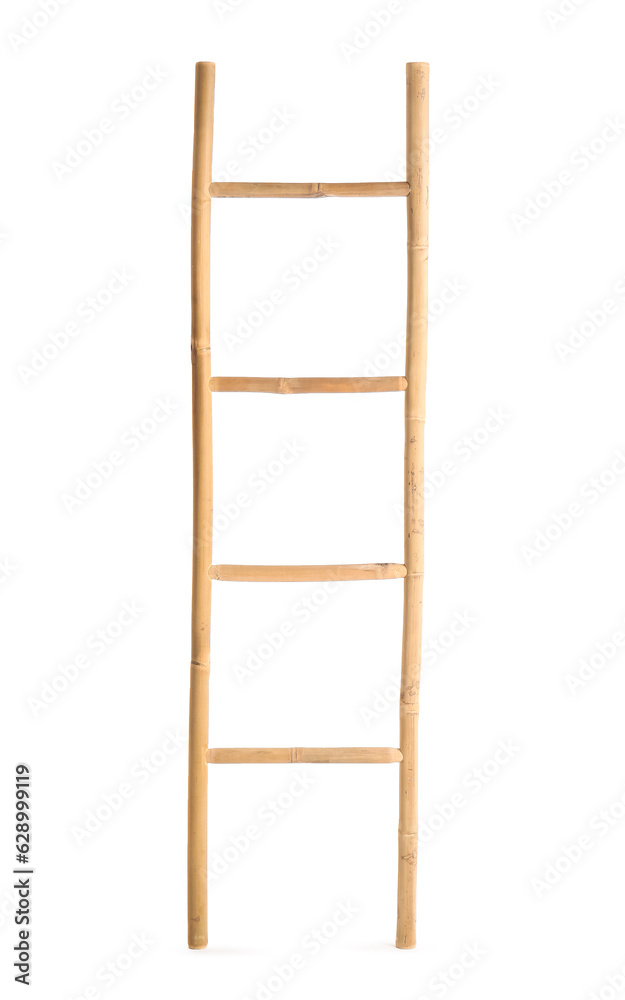 New wooden ladder on white background