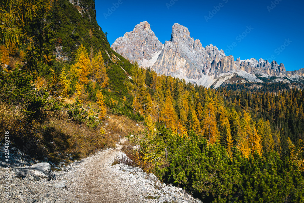 Gravel hiking trail in the autumn forest, Dolomites, Italy