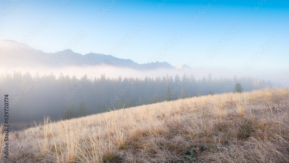 Foggy landscape in the morning. Sunbeams in a valley. Forest and field in a mountain valley at dawn.