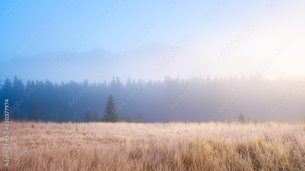 Foggy landscape in the morning. Sunbeams in a valley. Forest and field in a mountain valley at dawn.
