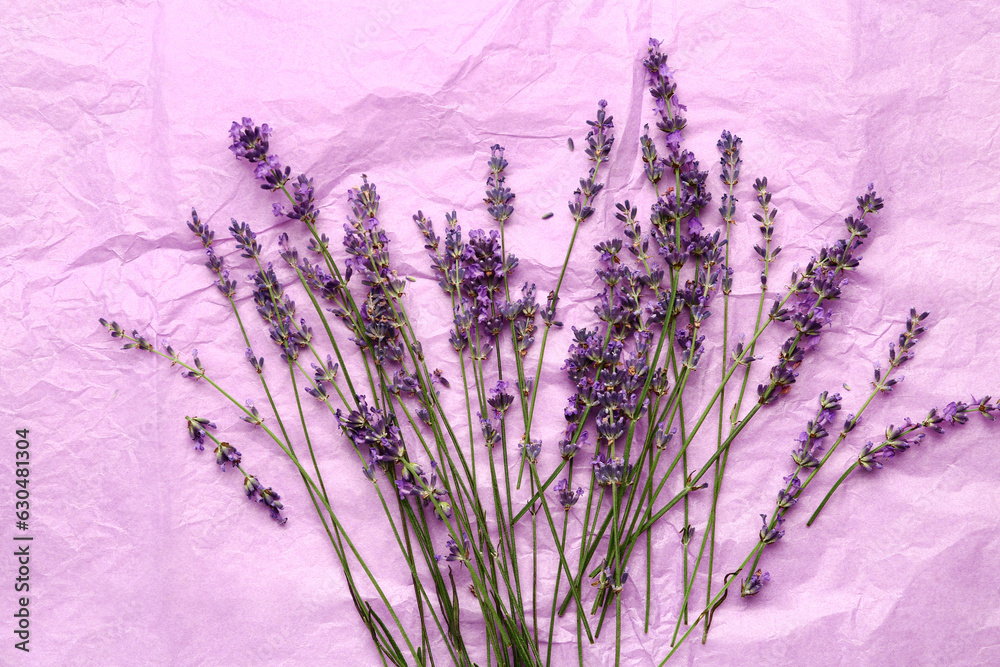 Branches of beautiful lavender flowers on crumpled purple paper