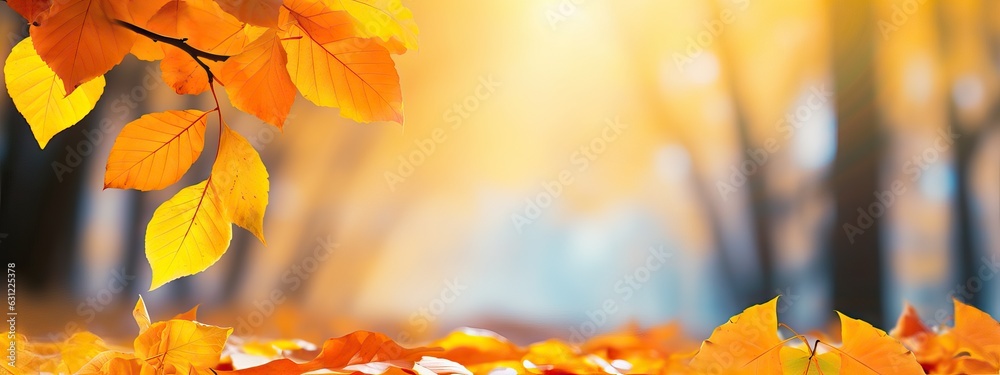 A bunch of beautiful yellow and orange leaves in an autumn park on a bright sunny day. Natural color