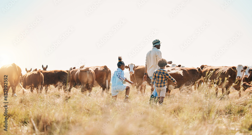 Cattle, children and father on family farm outdoor for livestock, sustainability or travel. Black ma