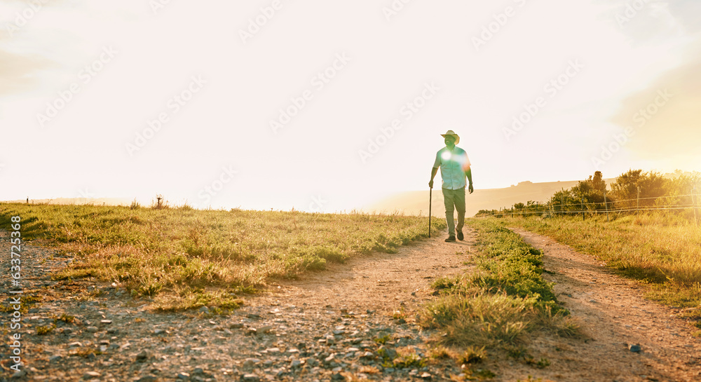 Sun flare, farm and man with agriculture, countryside and walking with grass field, nature and fresh