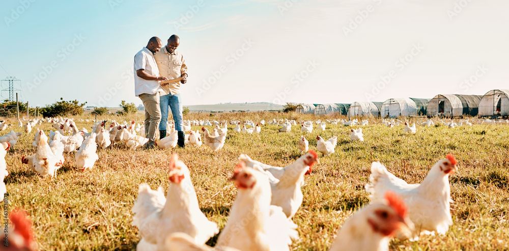 Black people, clipboard and farm with chicken livestock in agriculture and outdoor resources. Happy 