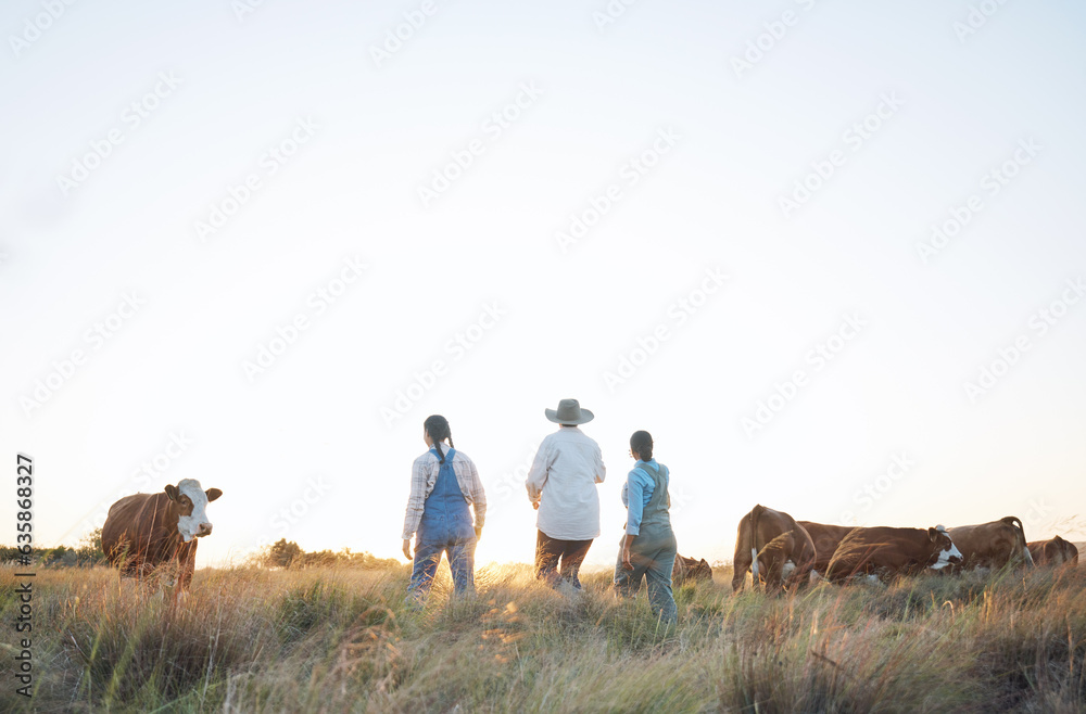 Farm, countryside and women in field with cow for inspection, livestock health and animal care. Agro