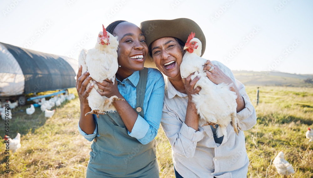 Portrait, teamwork or farmers chicken on farm or field harvesting poultry livestock in small busines