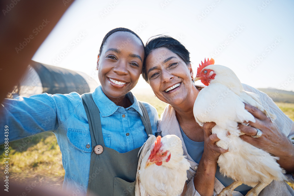 Smile, selfie or farmers on farm with chickens on field harvesting poultry livestock in small busine