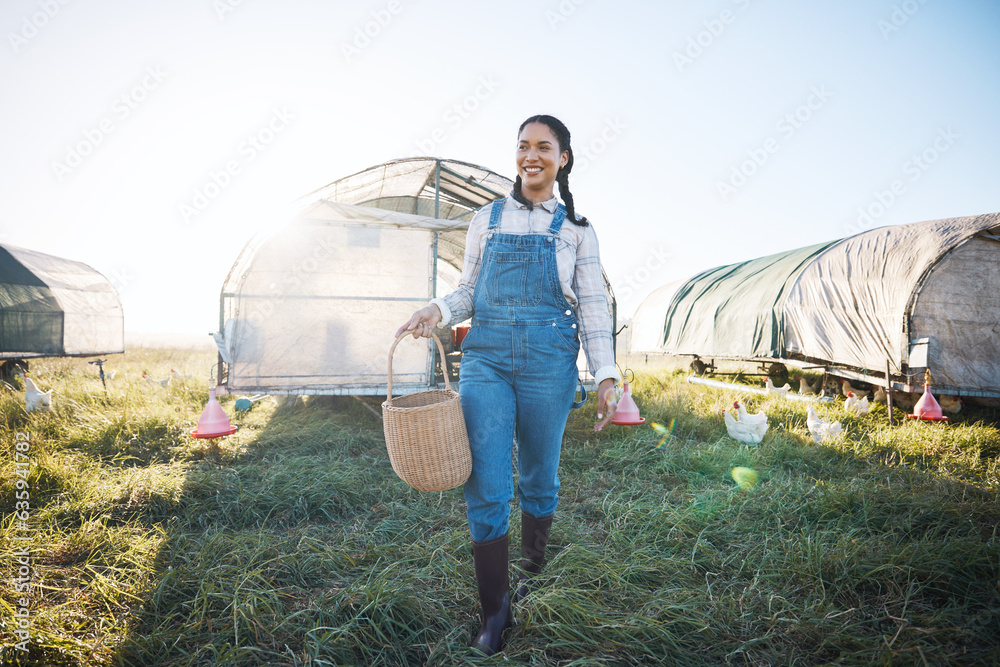 Chicken coop, woman with basket walking on farm with birds, grass and countryside field with sustain