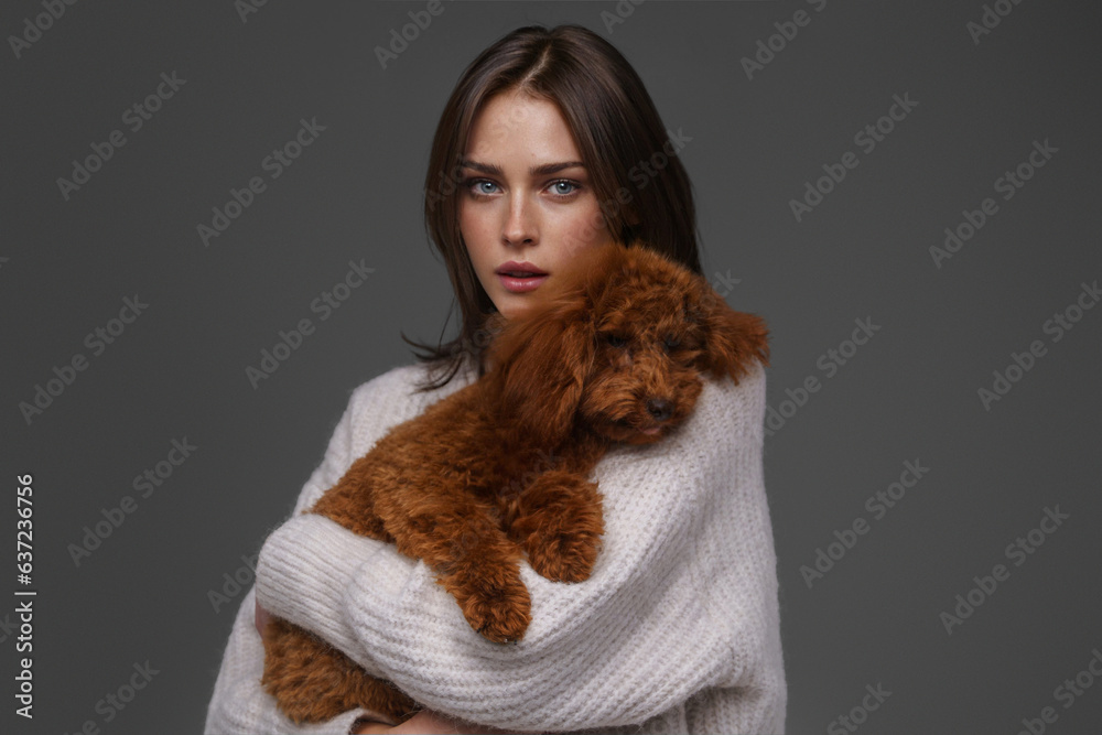 Charming girl in a white sweater holding her beloved brown toy poodle against a gray studio backdrop