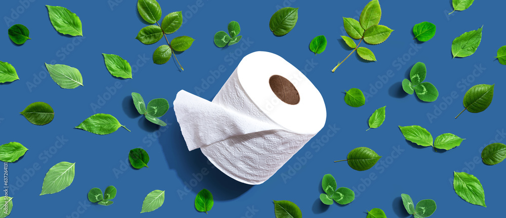 A roll of toilet paper with green leaves - flat lay