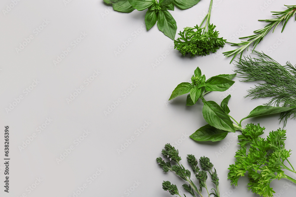 Composition with different fresh herbs on grey background