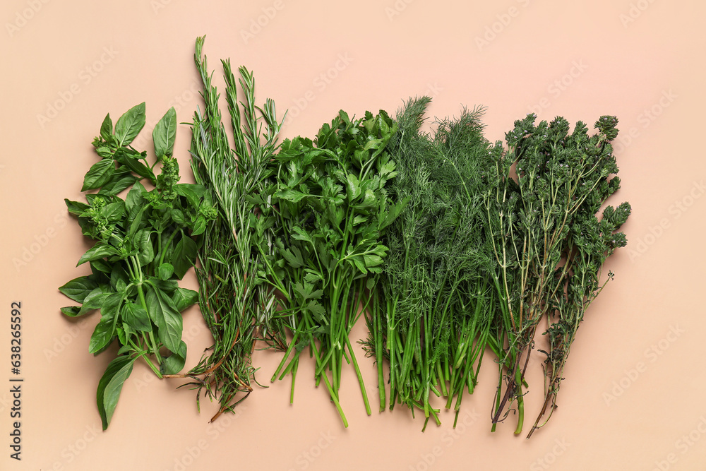 Assortment of fresh herbs on color background