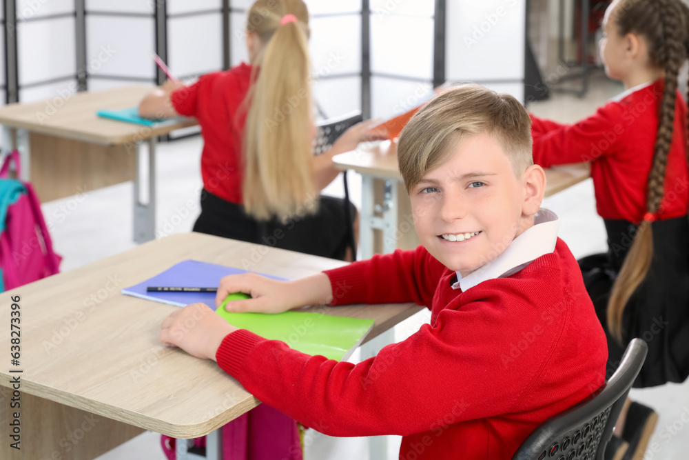Little schoolboy sitting at desk during lesson in classroom