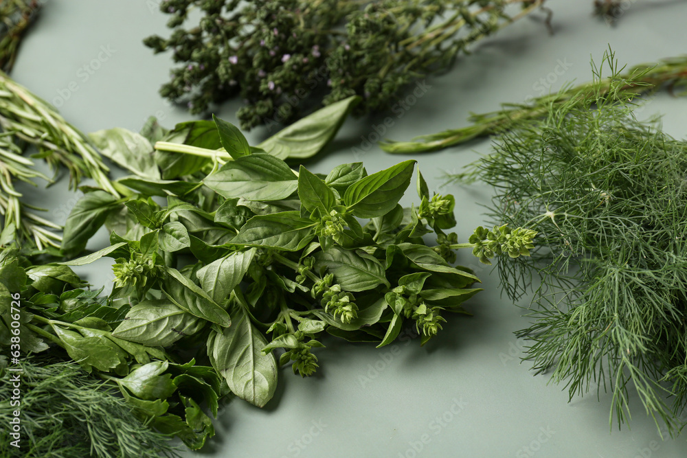 Assortment of fresh aromatic herbs on color background, closeup