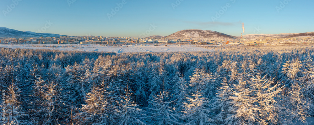 Winter panorama of a snow-covered forest and the city of Magadan. Cold weather. Snow on the branches