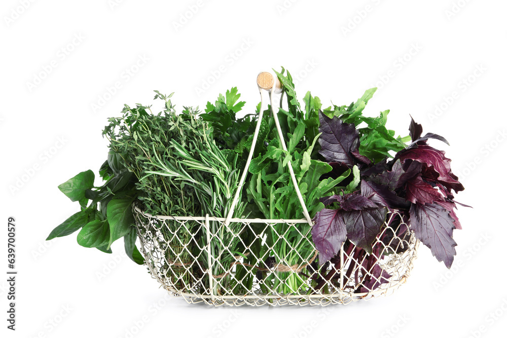 Basket with fresh aromatic herbs isolated on white background