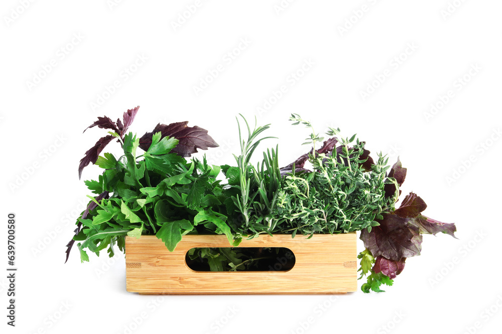 Wooden box with fresh herbs isolated on white background