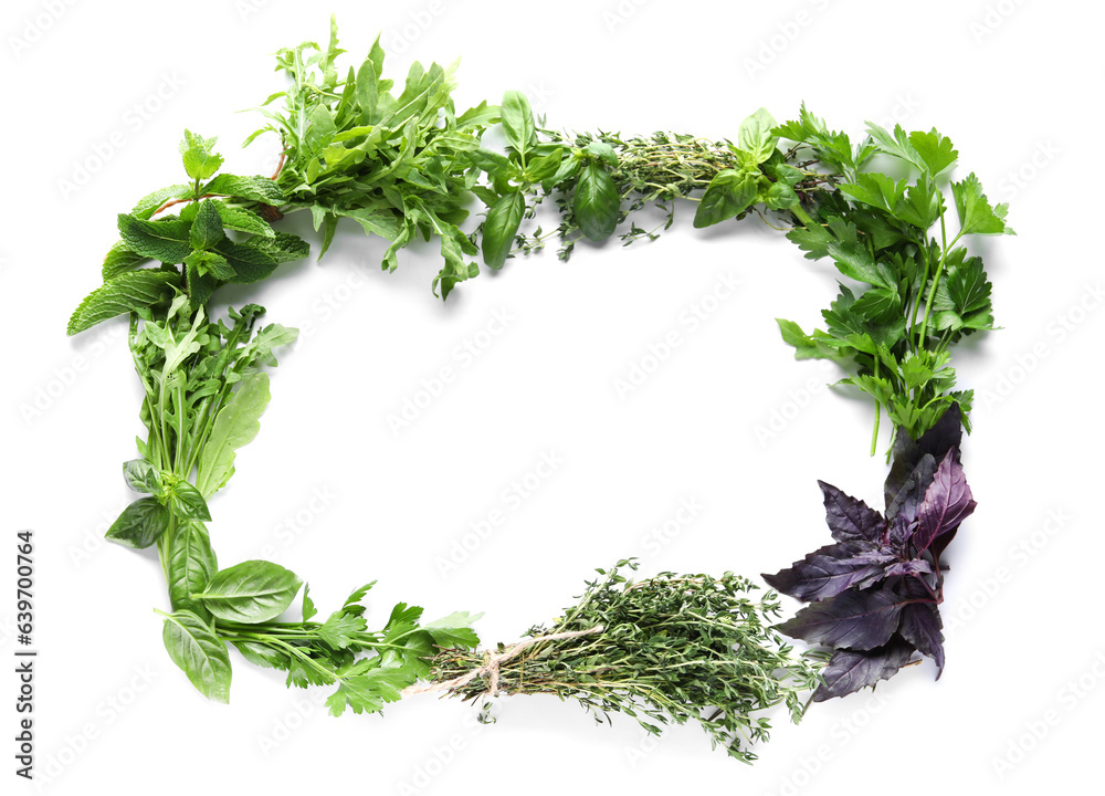Frame made of different herbs on white background