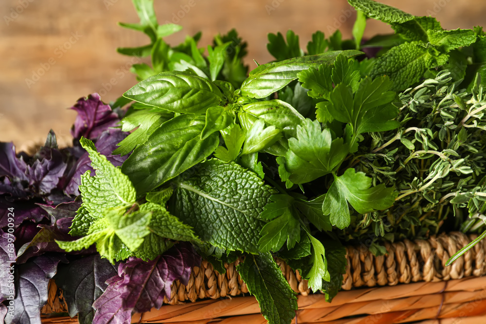 Basket with fresh herbs, closeup