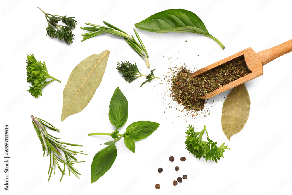 Composition with spices and different herbs on white background