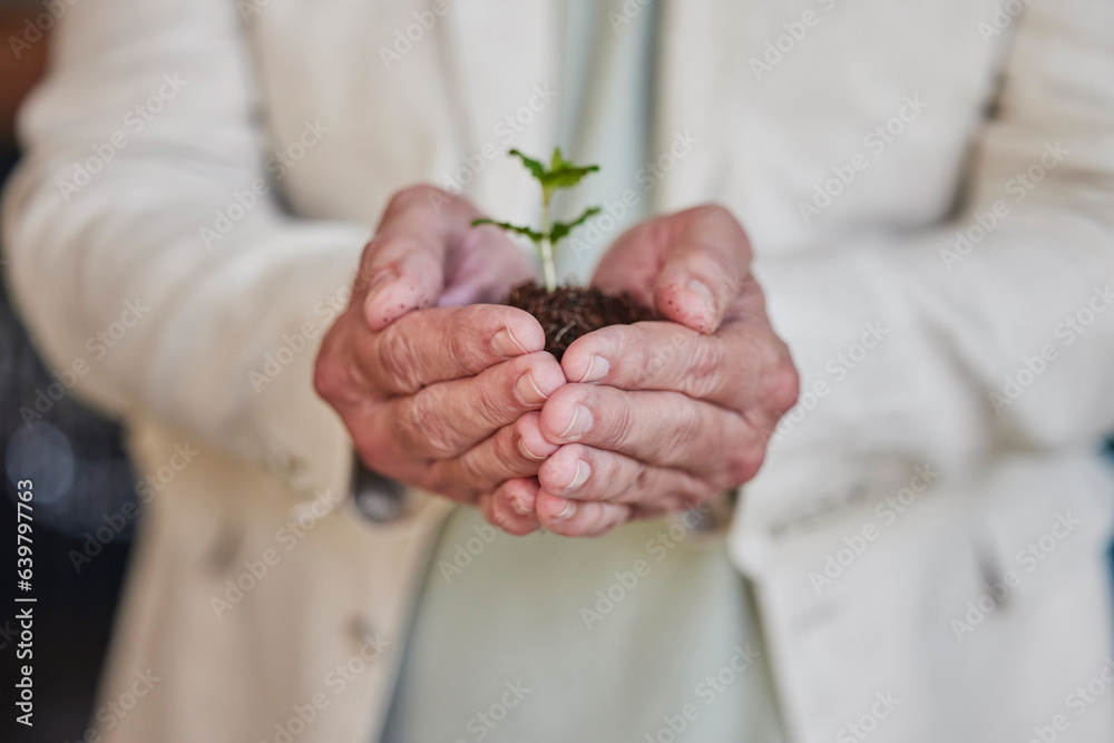 Earth day, plants and hands of professional person with business growth, climate change support or a