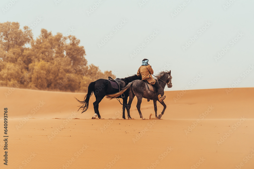 Moroccan berber man with horses through the sahara desert in Merzouga, Morocco