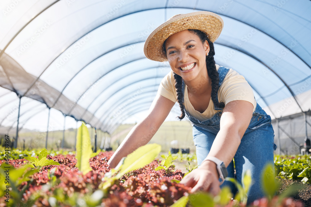 Portrait, agriculture and a woman in a farm greenhouse for sustainability, organic growth or farming