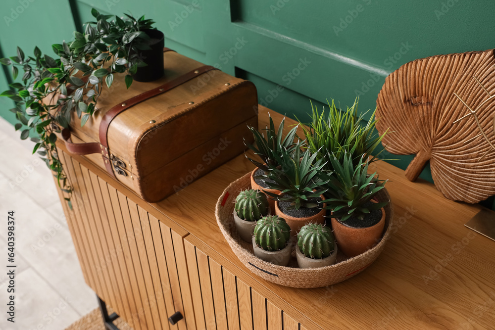 Wicker basket with houseplants on wooden cabinet near green wall