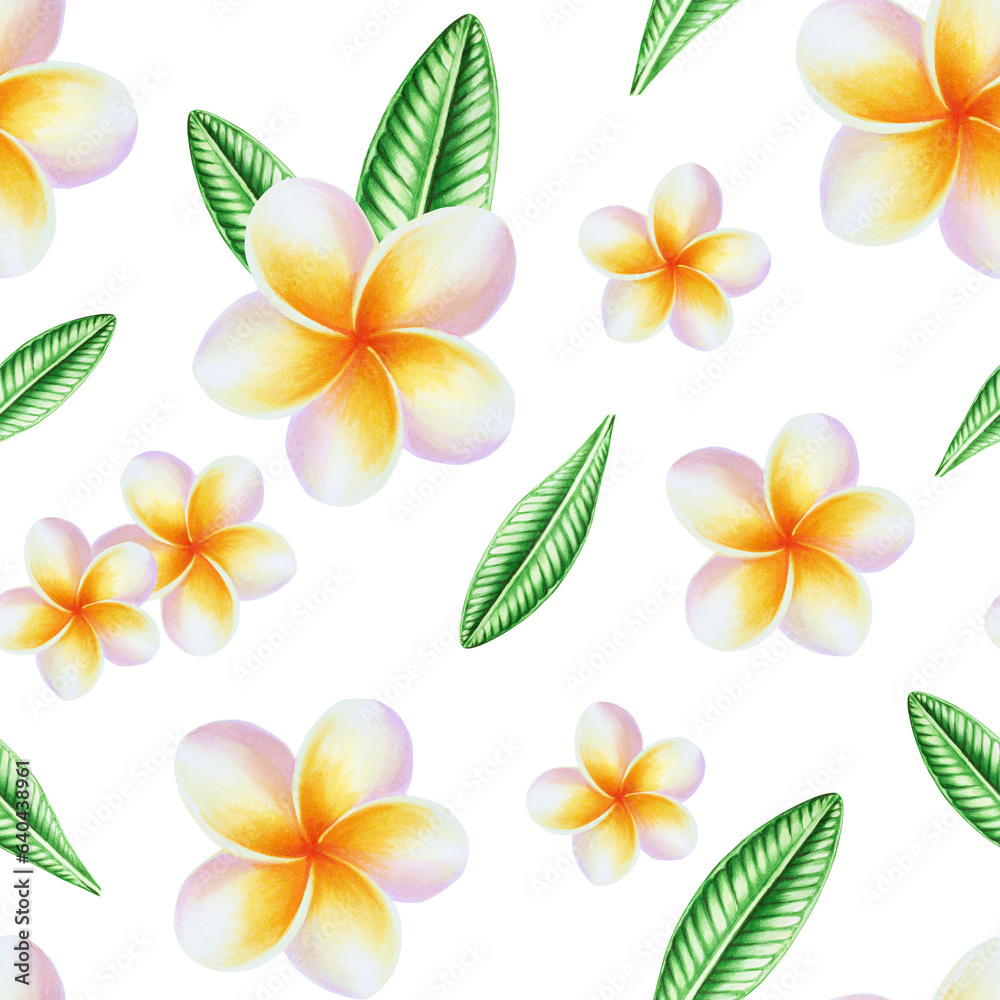 Watercolor seamless pattern with realistic tropical illustration of plumeria flowers with leaves iso
