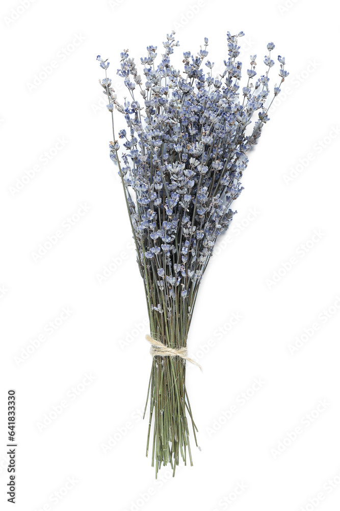 Dried lavender on white background