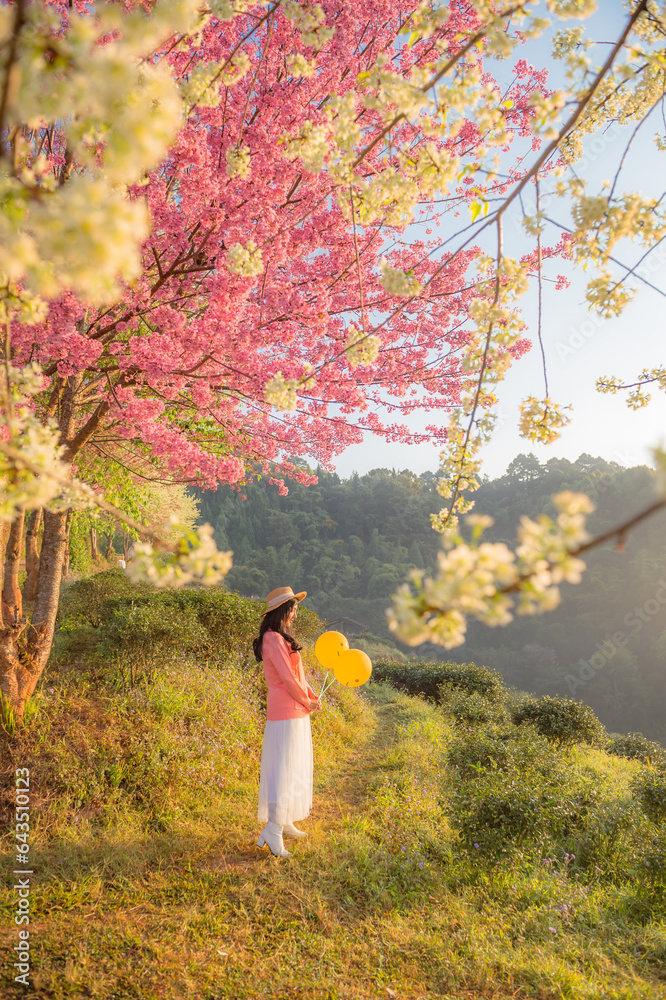 sakura flower and landscape