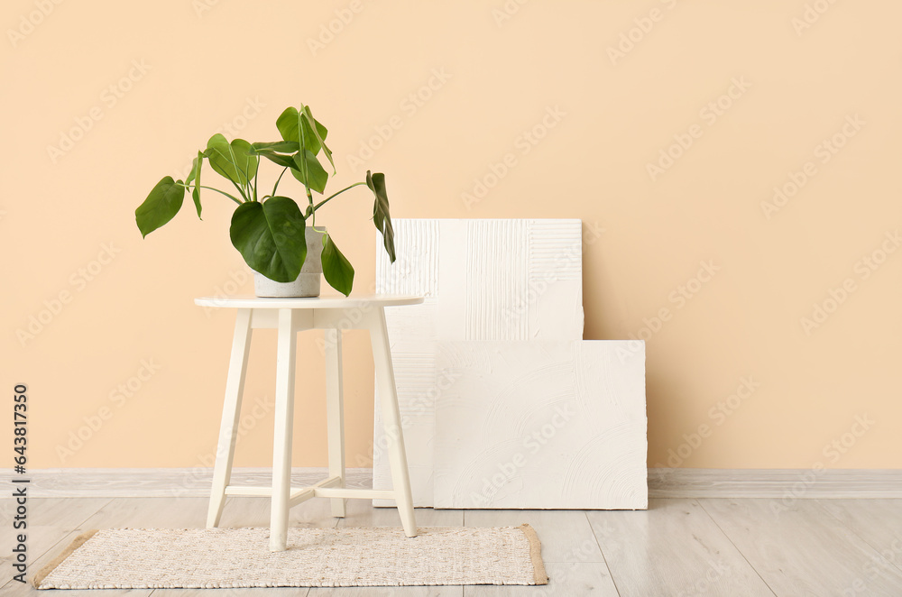 Green plant on table and paintings near beige wall in room