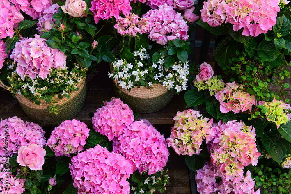 Baskets with beautiful flowers on street market, closeup