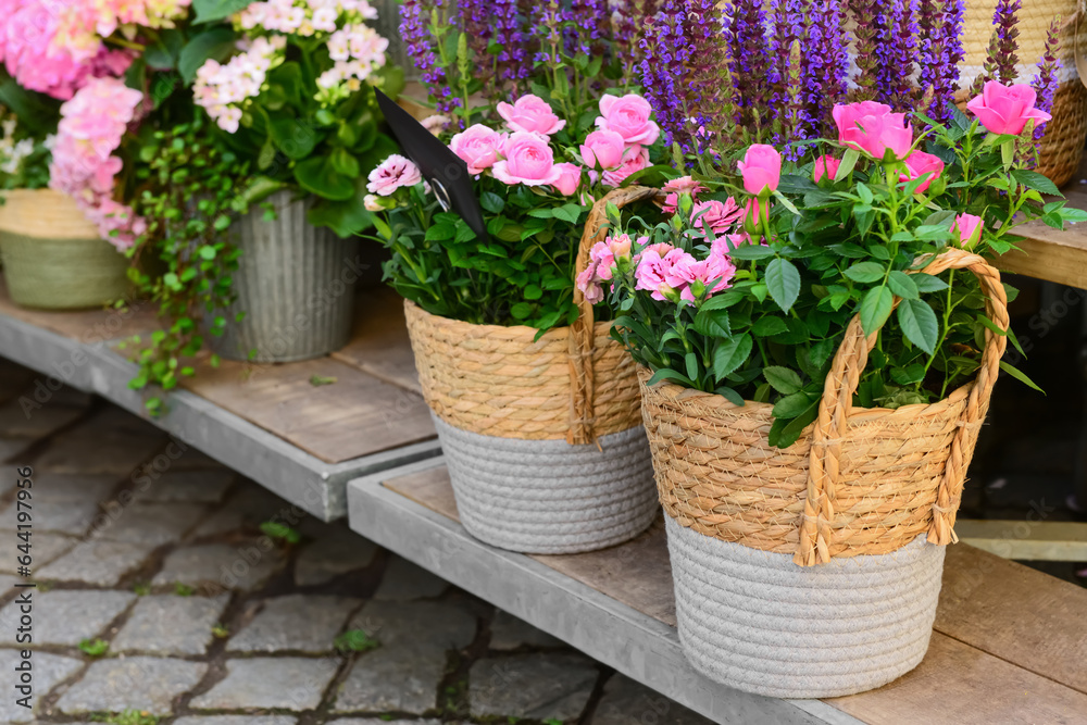 Baskets with beautiful flowers on street market, closeup